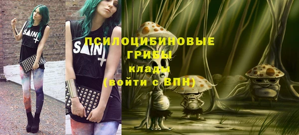 круглые Алзамай