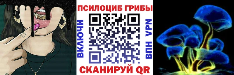 наркотики  Ленинск  Псилоцибиновые грибы MAGIC MUSHROOMS 
